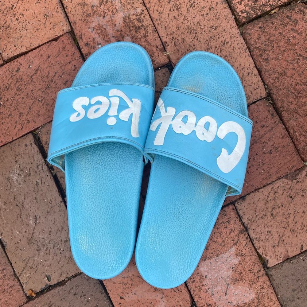 Blue Cookie slides